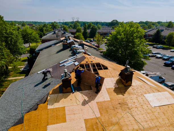 Best Storm Damage Roof Repair  in Jesup, GA