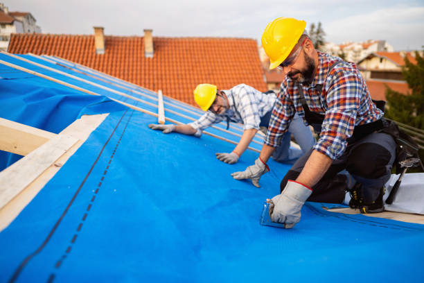Best Roof Leak Repair  in Jesup, GA