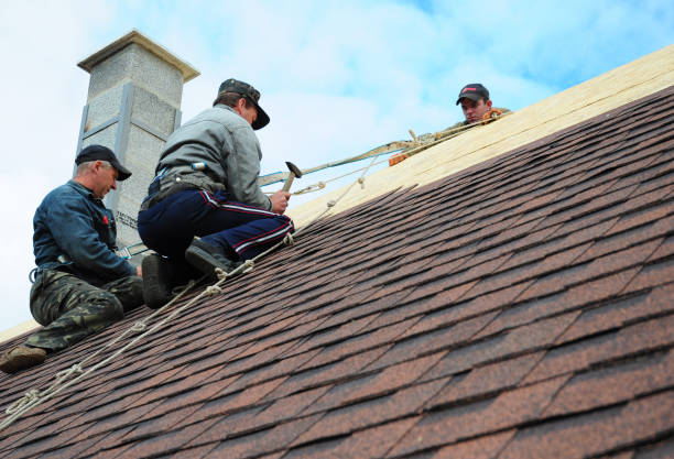Best Roof Gutter Cleaning  in Jesup, GA